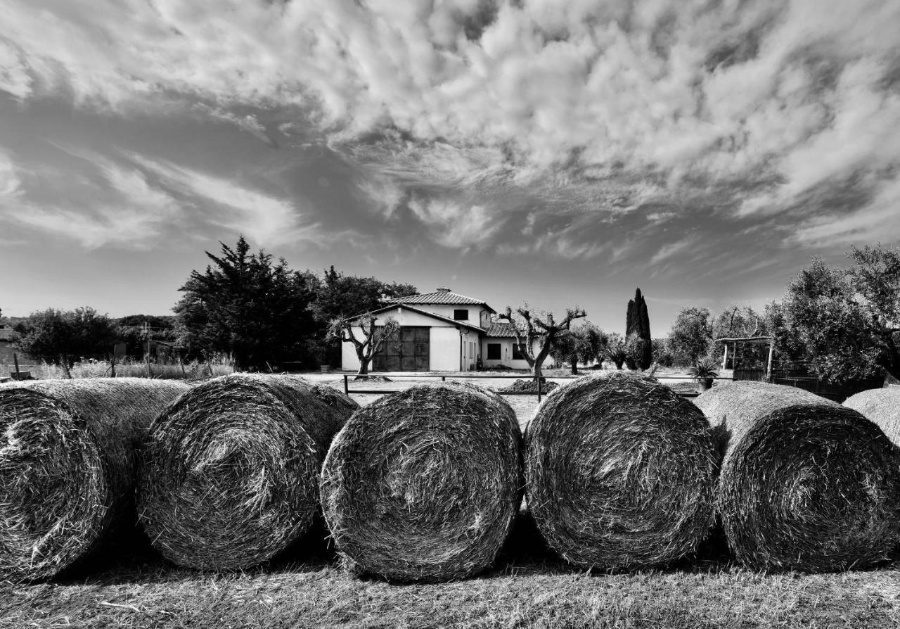 Orti Di Capalbio Villa Bagian luar foto