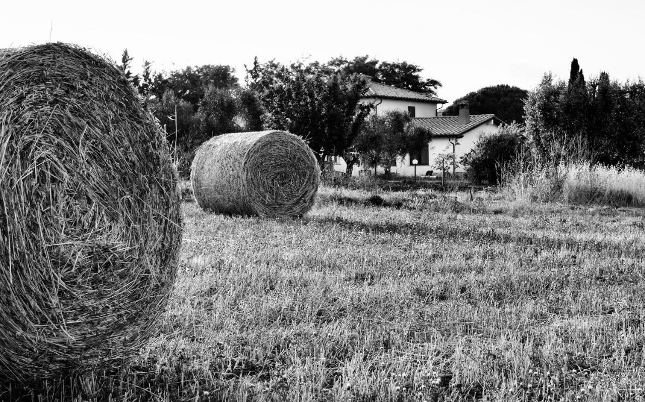 Orti Di Capalbio Villa Bagian luar foto