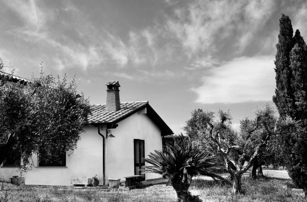 Orti Di Capalbio Villa Bagian luar foto